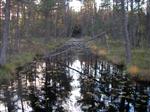 Kanal  från gölen till ångsåg